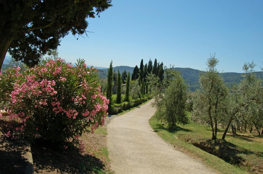 Agriturismo La Forra Cavriglia Exterior photo